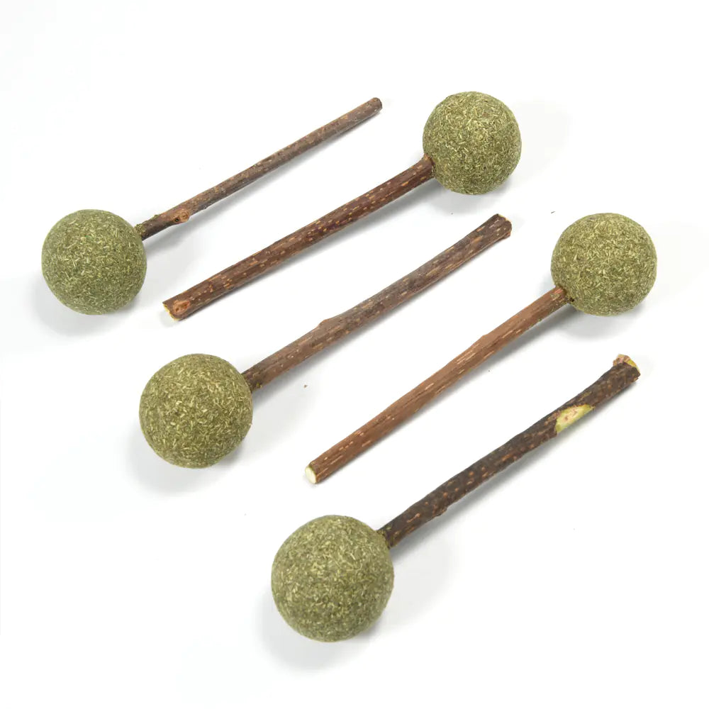 Friandise naturelle à l’herbe à chat – Lollipop Cataura™