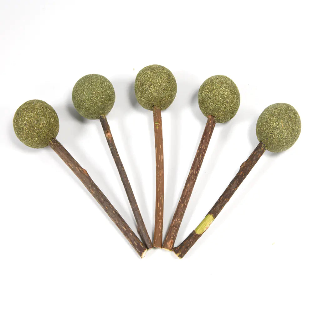 Friandise naturelle à l’herbe à chat – Lollipop Cataura™