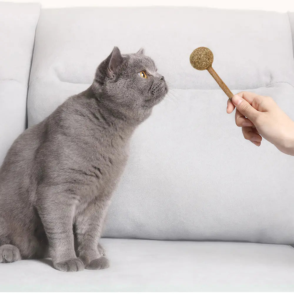 Friandise naturelle à l’herbe à chat – Lollipop Cataura™