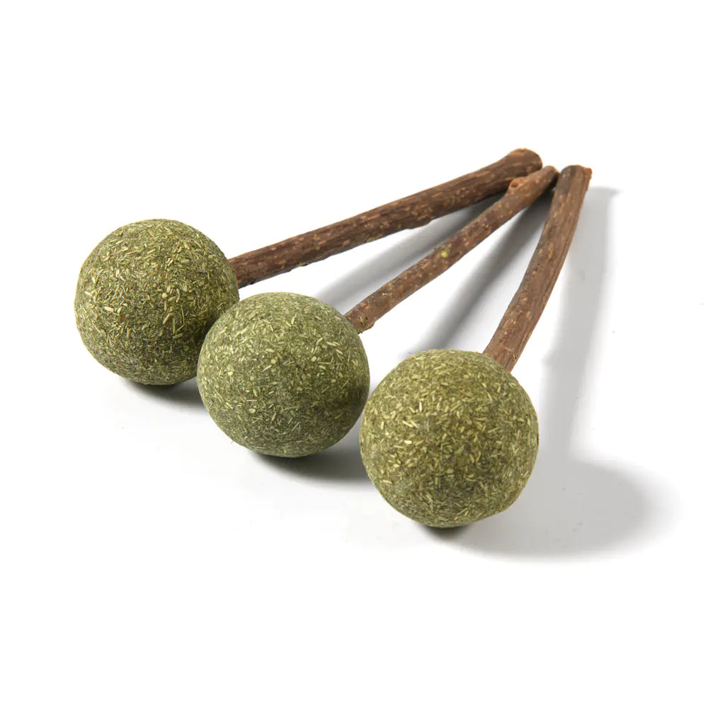 Friandise naturelle à l’herbe à chat – Lollipop Cataura™
